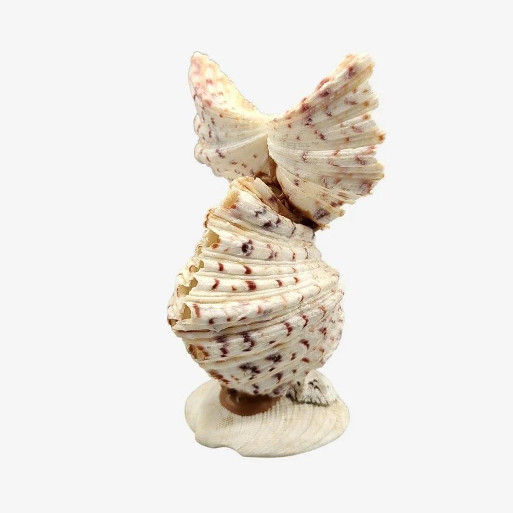 Vintage Googly Eyes Handcrafted Seashell Owl Beach decor Boho Folk Art 4